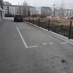 димоти