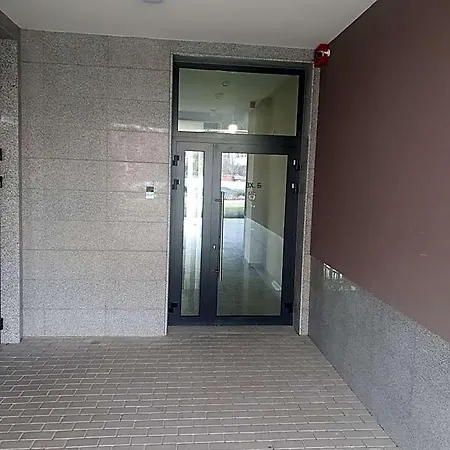 димоти 4*